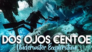 DOS OJOS CENOTE SCUBA DIVING IN TULUM MEXICO [upl. by Scarrow]