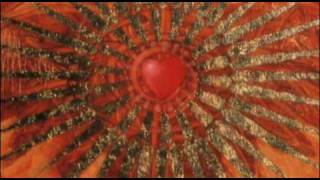 Video Meditation  The Path of Peace Ahimsa [upl. by Pendleton]