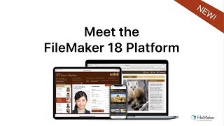 Meet the FileMaker 18 Platform [upl. by Eyt]