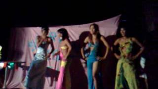 miss gay bebot 2010 saarland [upl. by Adihahs634]