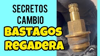 Secretos Cambio de Bastagos Regadera [upl. by Geiger500]