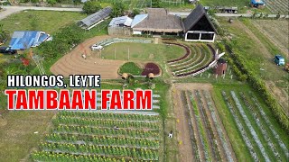 EXPLORING TAMBAAN FARM HILONGOS LEYTE PHILIPPINES Lakawan PH [upl. by Ellessig]