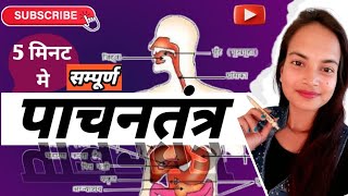 Digestive System  पांचन तंत्र   Digestive System  By Shilu maam biology viral [upl. by Ssitruc]