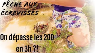 Pêche des écrevisses  200 en 3h [upl. by Dredi335]