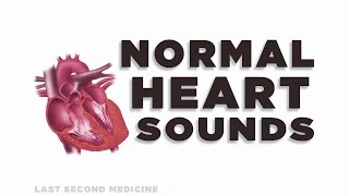 Heart Sounds Series  Normal Heart Sounds [upl. by Jarv]