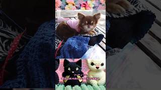 フーディ付きマフラー？マフラー付きフーディ？編んだのよ。ハンドメイド knitting crochet scarf foodie フーディー マフラー 編み物 [upl. by Ailemac]