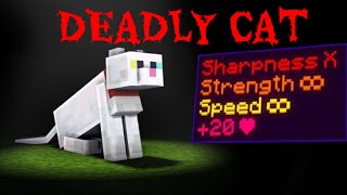 How i Dominated this Minecraft SMP by Being CAT [upl. by Rhody]