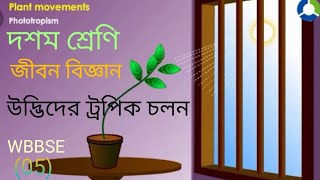 Tropic movements in plantsউদ্ভিদের ট্রপিক চলন ও তার প্রকারভেদ।class x life scienceWBBSE [upl. by Ignazio]