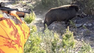 Caccia al CINGHIALE in SARDEGNA  Wild Boar Hunting [upl. by Eelac613]