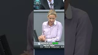 Alice Weidel Entlastung für Facharbeiter  Grundfreibetrag JETZT erhöhen [upl. by Serica]