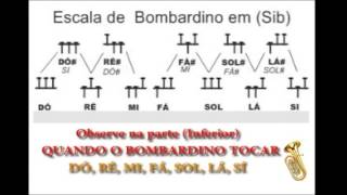 Mecânica Bombardino em Sib [upl. by Haridan587]