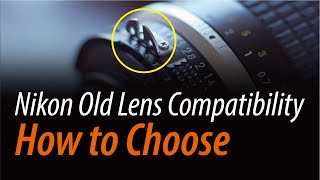 How to Choose Nikon Old Lenses  Nikkor Lens Selection Guide [upl. by Llenil832]