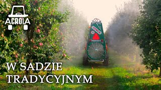 Opryskiwacz sadowniczy Agrola Power  sad tradycyjny Orchard sprayer [upl. by Arraeit561]