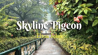 SKYLINE PIGEON  4k Karaoke Version  in the style of Elton John [upl. by Eolhc]