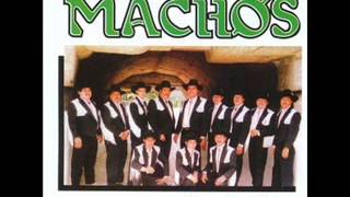 Banda MachosCasimira [upl. by Clapper]