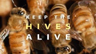 Keep the Hives Alive Full Documentary [upl. by Reames]