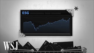 What Are ESG Funds and Why Are They Under Scrutiny [upl. by Swee930]