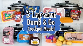 6 Cheap amp EASY Dump and Go Crockpot Meals  TASTY 3Ingredient Slow Cooker Recipes  Julia Pacheco [upl. by Iddet235]