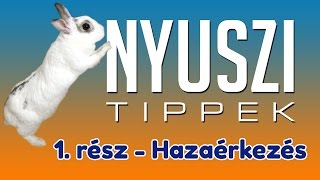 Hazaérkezés  NYUSZI TIPPEK 1 [upl. by Augie379]