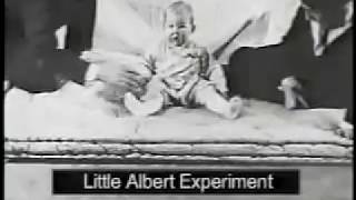 Classical Conditioning Pavlov and the Little Albert Experiment [upl. by Enileuqkcaj]