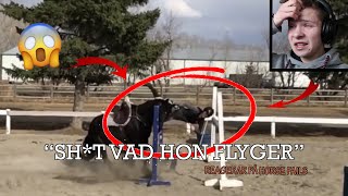 quotSHT VAD HON FLYGERquot Reagerar på horse fails [upl. by Pardner945]