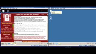 Demonstration of WannaCry Ransomware Infection non tech [upl. by Enaols]