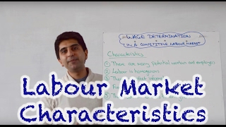 Characteristics of a Perfectly Competitive Labour Market [upl. by Haerb]