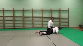 Hanmi Handachi Waza Katate Dori Ikkyo [upl. by Llenrap630]