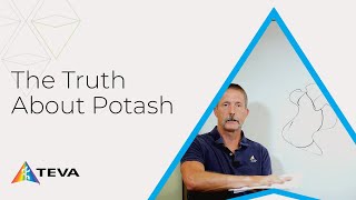 How Potash Affects Your Soil [upl. by Cayla]