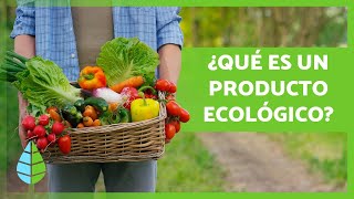 PRODUCTOS ECOLÓGICOS 🌏🌱 Qué son Beneficios y Ejemplos [upl. by Melita419]