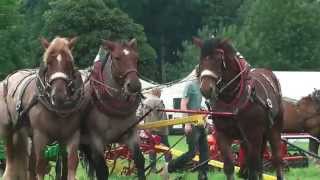 PferdeStark 2015 Schloss Wendlinghausen Landwirtschaftliche Vorführungen [upl. by Eillam]