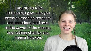 Luke 1019 KJV  Authority amp Power Words of Christ  Scripture Songs [upl. by Westfall]