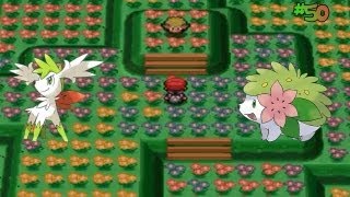 Pokemon Platinum Version  Part 50 How To Get Shaymin  Its Sky Forme [upl. by Gimpel]