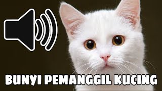 SUARA KUCING MEMANGGIL  BUNYI PEMANGGIL KUCING [upl. by Llenreb]