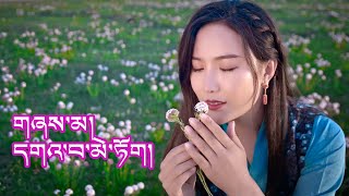 New Tibetan Song 2022 Gawa Metok དགའ་བ་མེ་ཏོག སྔོན་མ་ཆབ་ཀྱི་མཆོད་པ། [upl. by Orag332]