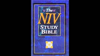 The Book of Psalms NIV Audio Bible Non Dramatized [upl. by Natsrik447]