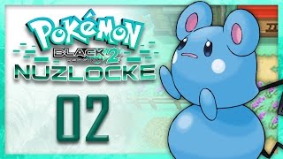 Pokemon Black 2 Nuzlocke Messing Up  PART 2  Truegreen7 [upl. by Allcot658]