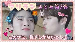 【日本語字幕】どんだけイエニの事好きなの？😳可愛すぎるアリラン🦊🐰【straykidsスキズリノアイエンLeeknowIN】 [upl. by Einhpad84]