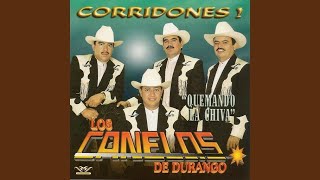 El Corrido de Armando [upl. by Orbadiah910]