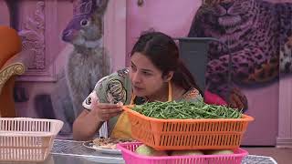 Bigg Boss 13 Highlights  Colors [upl. by Aihsar122]