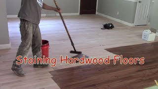 Staining Hardwood Floors [upl. by Delos511]