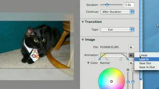 FotoMagico Tutorial Image Options [upl. by Lyford]