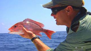 Red Snapper Fishing Offshore of Panama City Florida [upl. by Levenson]