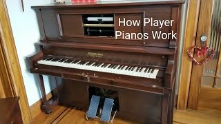 How Does A Player Piano Work  A Basic Explanation [upl. by Mccandless]