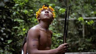 Indigène vivant en tribu dans la forêt amazonienne menacé par les américains pour de lor [upl. by Ymereg400]