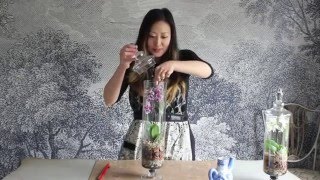 How to make an Orchid Terrarium [upl. by Anahahs]