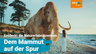 Natur erleben  beobachten  verstehen  Unterwegs in den Naturerlebniszentren in MV [upl. by Huberto]