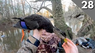 Duck Hunting The River During A Cold Snap  Mixed Bag On Public Water [upl. by Valida256]