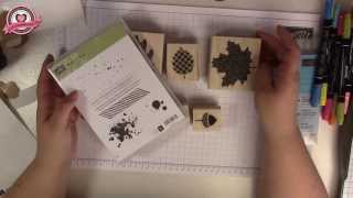 Tutorial Stempel montieren mit Stampin Up [upl. by Maddocks]