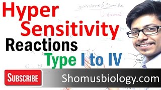 Hypersensitivity reactions type 1 type 2 type 3 and type 4 hypersensitivity [upl. by Thissa]